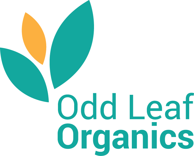 Diseño de Logo por Bango para este proyecto | Diseño #21625626