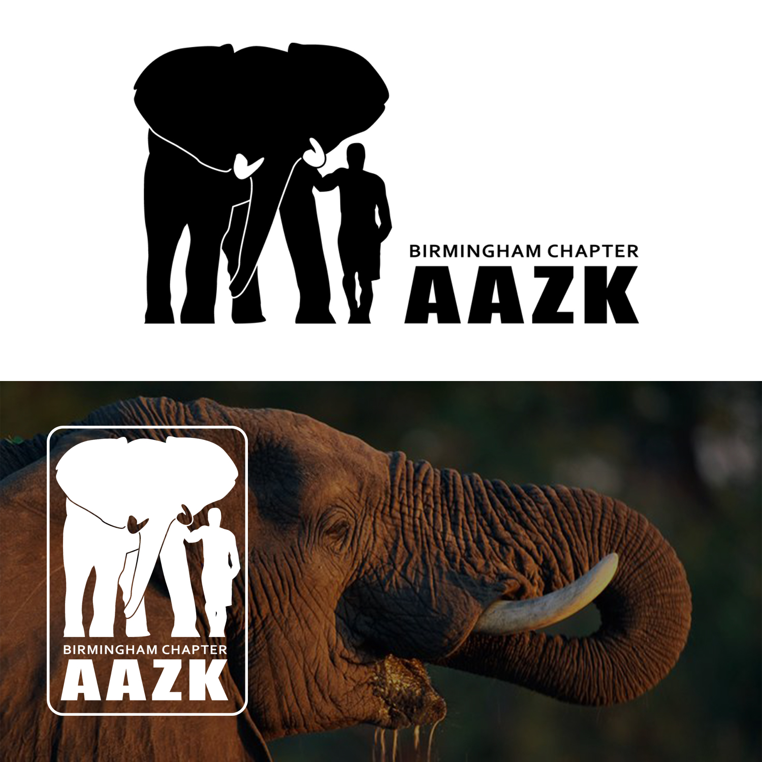 Logo Design by Ivanbitar for this project | Design #21574429