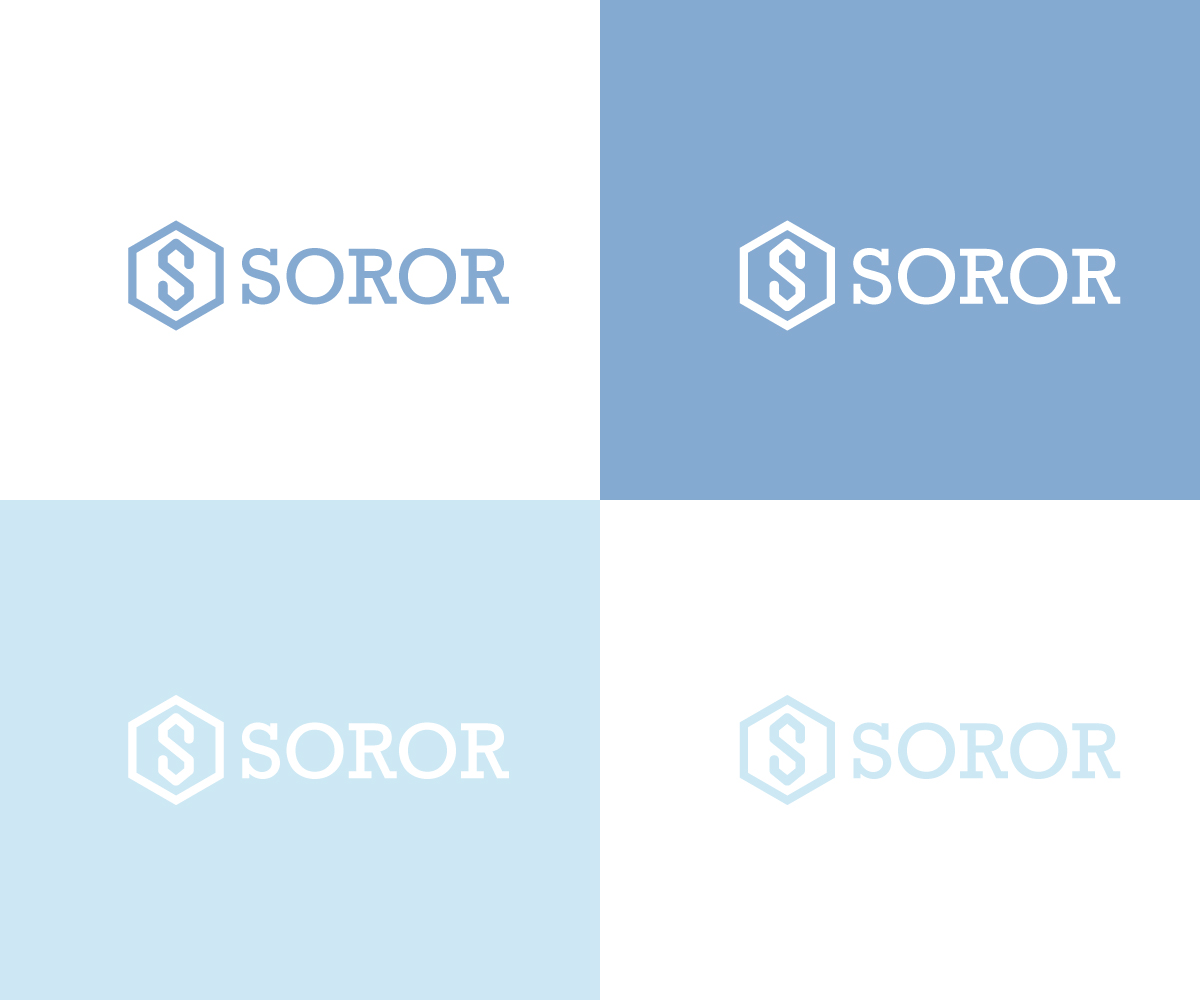 Logo Design by Mohammad Shahidul Islam for this project | Design #21579149