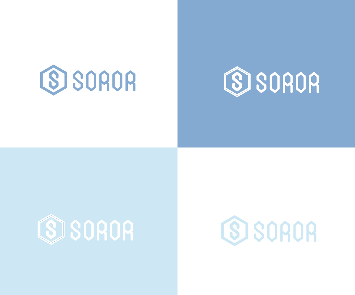 Logo Design by Mohammad Shahidul Islam for this project | Design #21579212