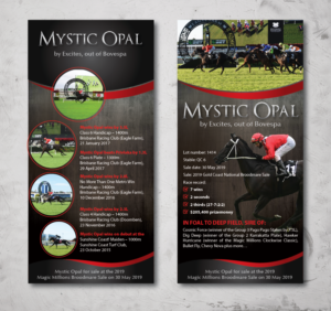 Design de Flyer par alex989 pour ce projet | Design : #21597037