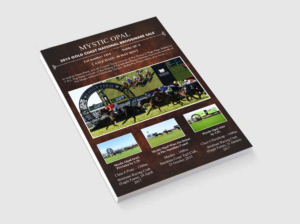 Diseño de Flyer por ESolz Technologies para este proyecto | Diseño #21594528