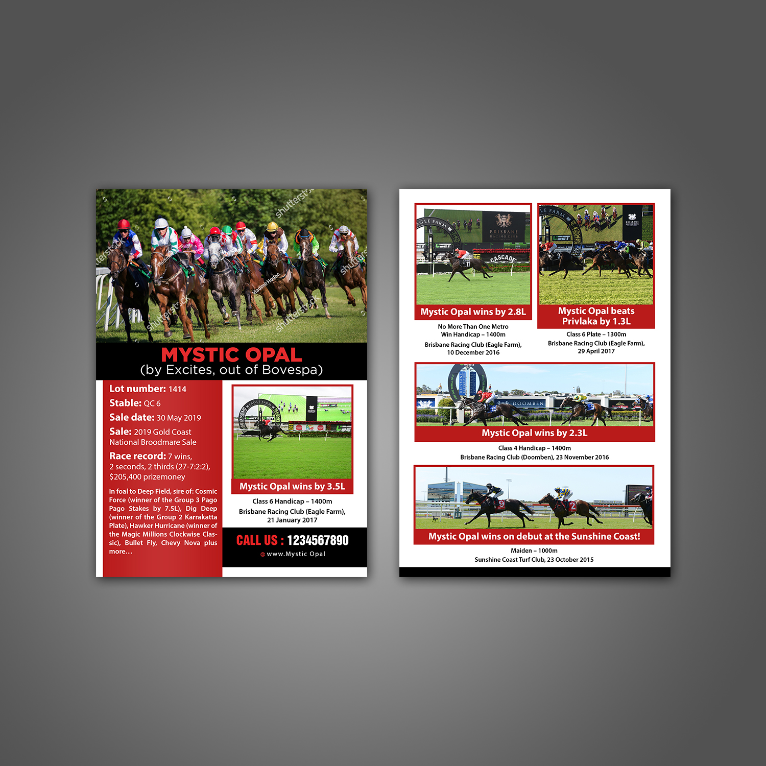 Flyer Design by aspiremedia for this project | Design #21625894