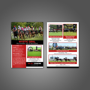 Mystic Opal for sale at the 2019 Magic Millions Broodmare Sale on 30 May 2019 | Flyer Design by aspiremedia