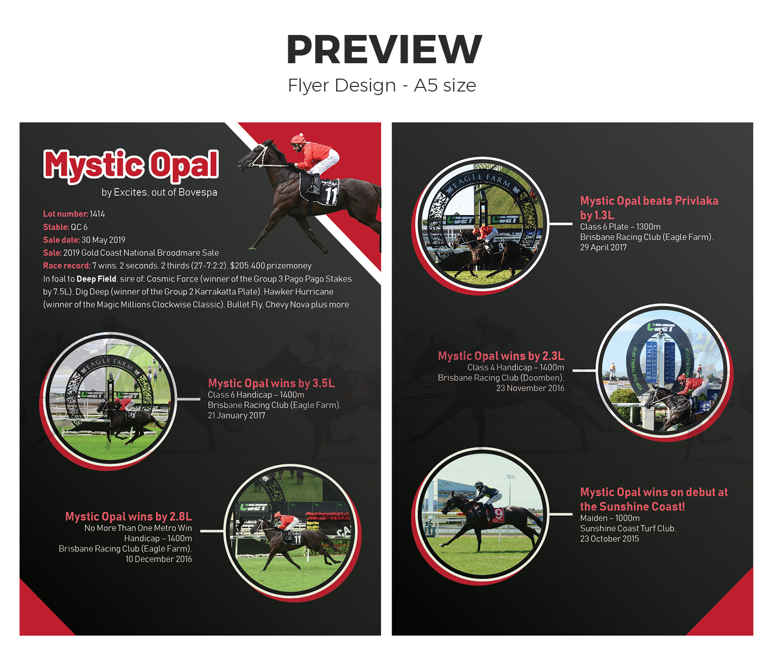 Design de Flyer par ZISGraphics pour ce projet | Design #21590139