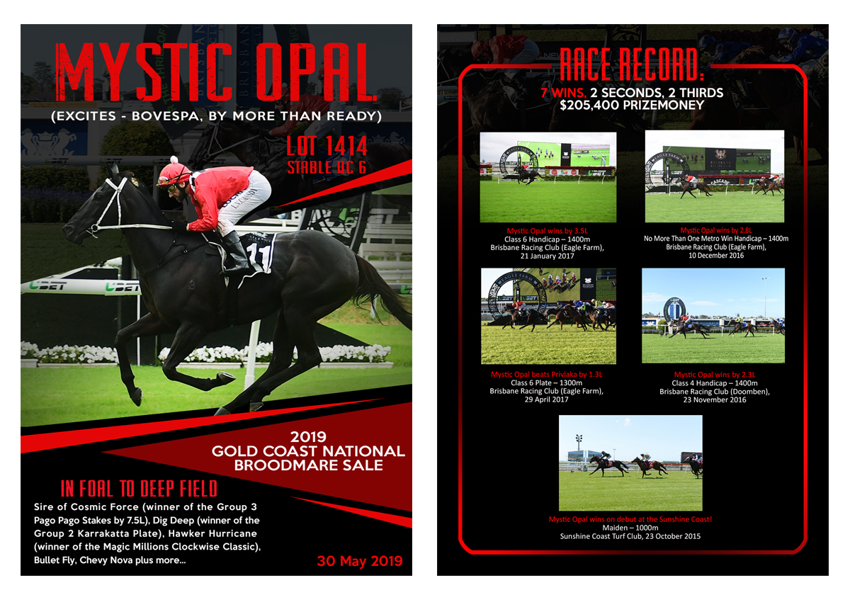 Design de Flyer par creamz12 pour ce projet | Design #21650007