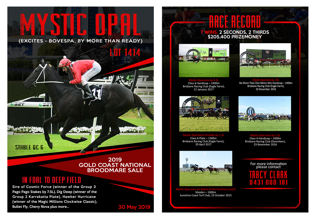 Design de Flyer par creamz12 pour ce projet | Design #21650089