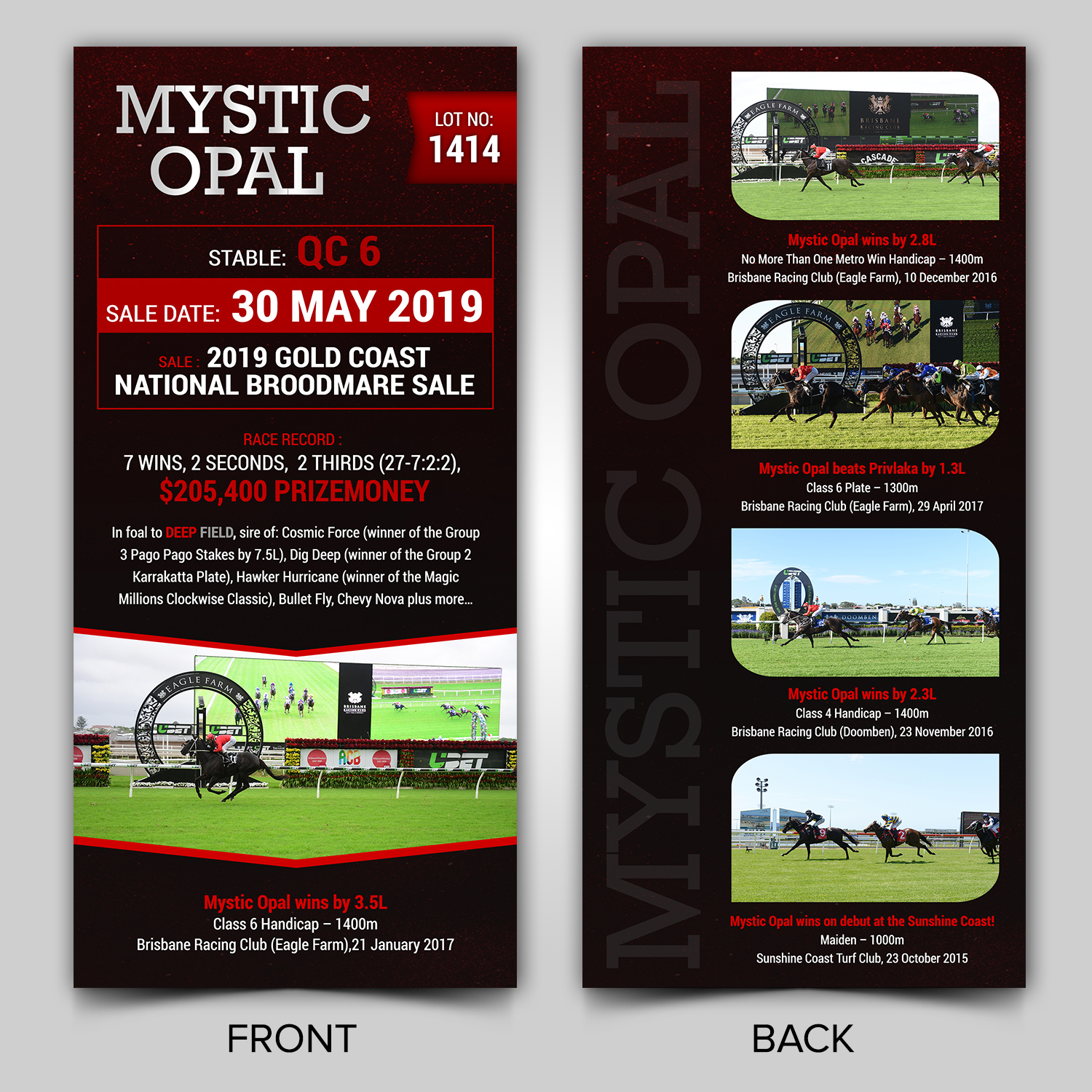 Design de Flyer par ARTOGRAPHY pour ce projet | Design #21614894