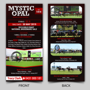 Design de Flyer par ARTOGRAPHY pour ce projet | Design : #21637819