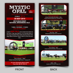 Design de Flyer par ARTOGRAPHY pour ce projet | Design : #21648738
