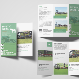 Flyer Design by Nwaneri Precious