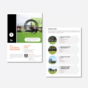 Flyer Design by Nwaneri Precious for this project | Design: #21633238
