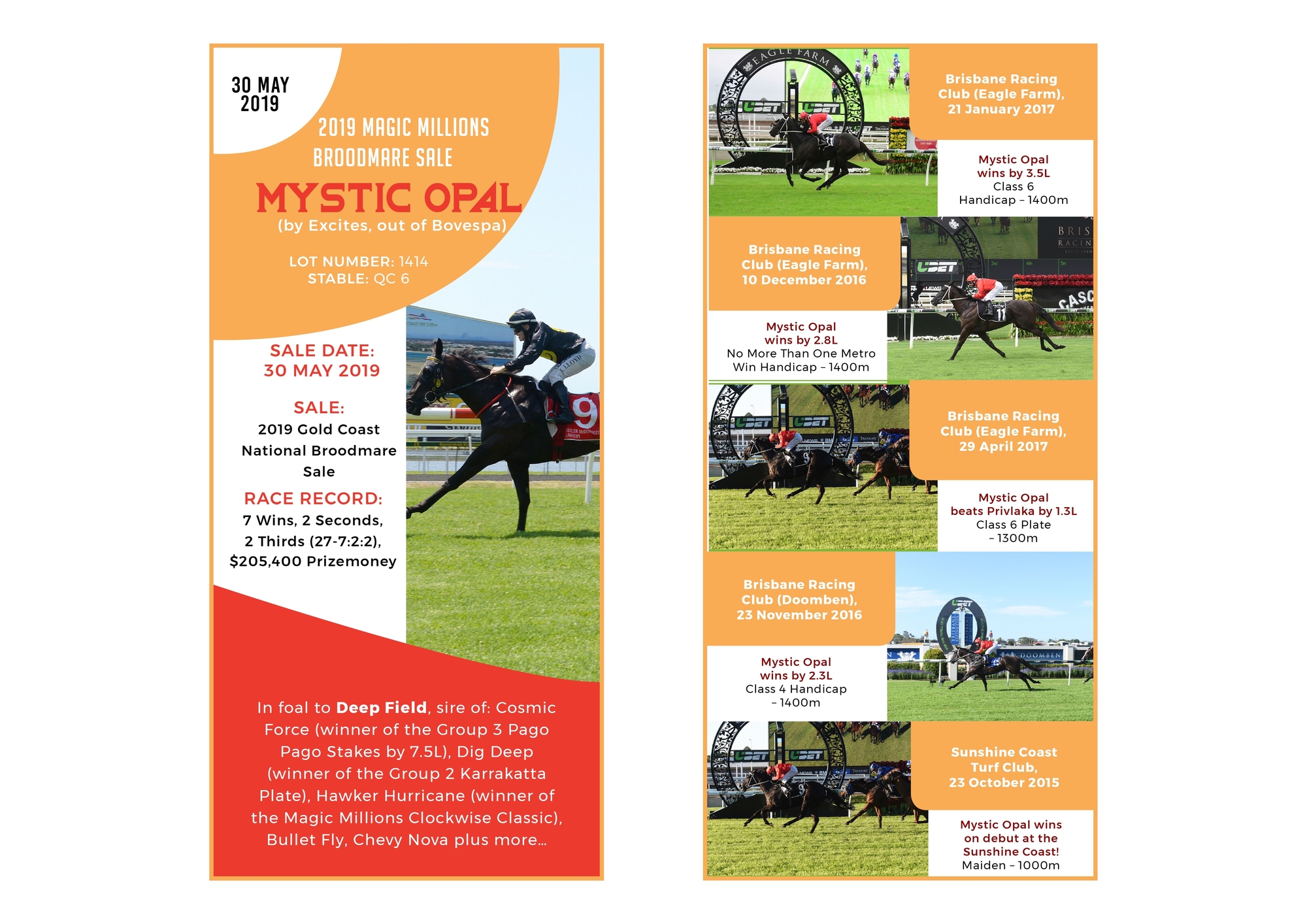 Flyer Design by Creativeadpro for this project | Design #21630411