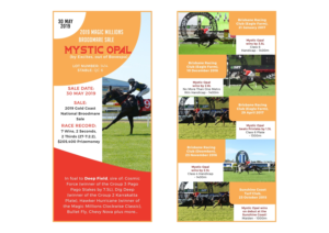 Flyer Design by Creativeadpro for this project | Design: #21630411