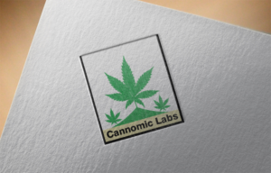 Logo Design by SURYA for this project | Design: #21590460
