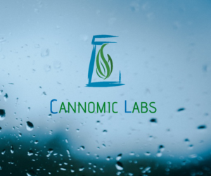 Logo Design by Alex-K for this project | Design #21598702