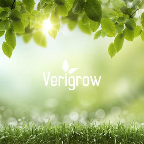 Logo Design by Violet J for this project | Design #21616501