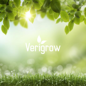 Logo Design by Violet J