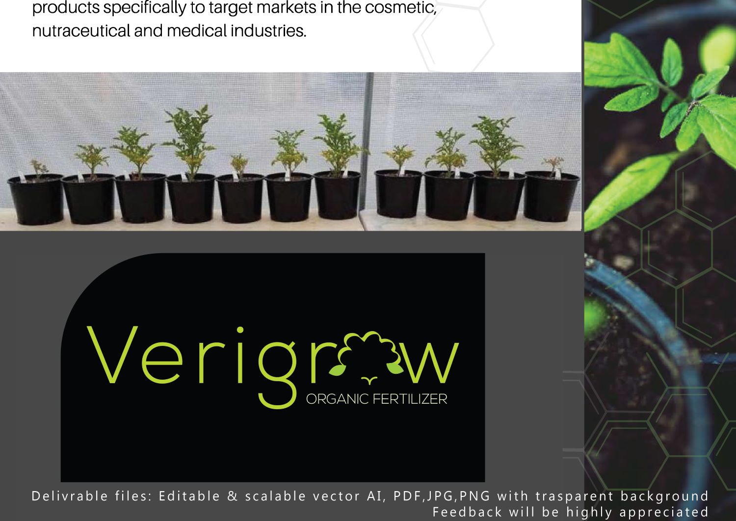 Logo Design by BrankoCekov for this project | Design #21585772