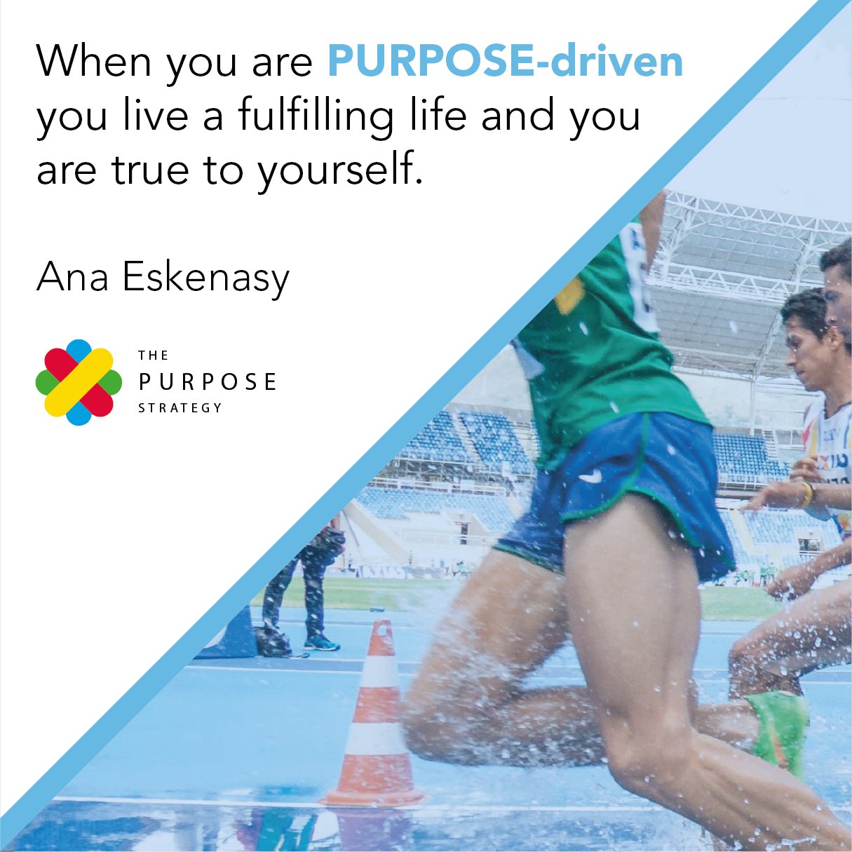 Grafik-Design von Filipe Pertel für dieses Projekt | Design #21606481