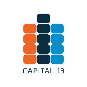 Logo Design by razi meem