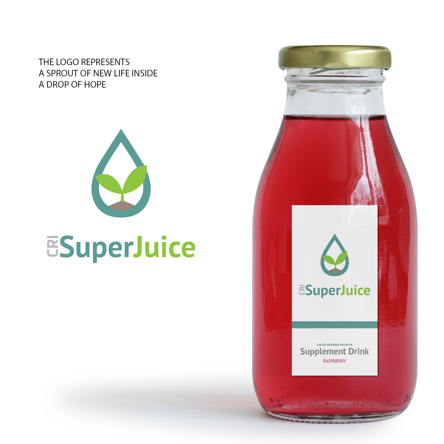 Logo Design by rls for this project | Design #21599429