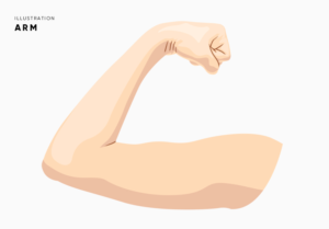 Illustration Design by dongkrak studio for this project | Design: #21606494