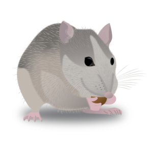 Illustration Design by Skybluedesignstudio for this project | Design: #21654667