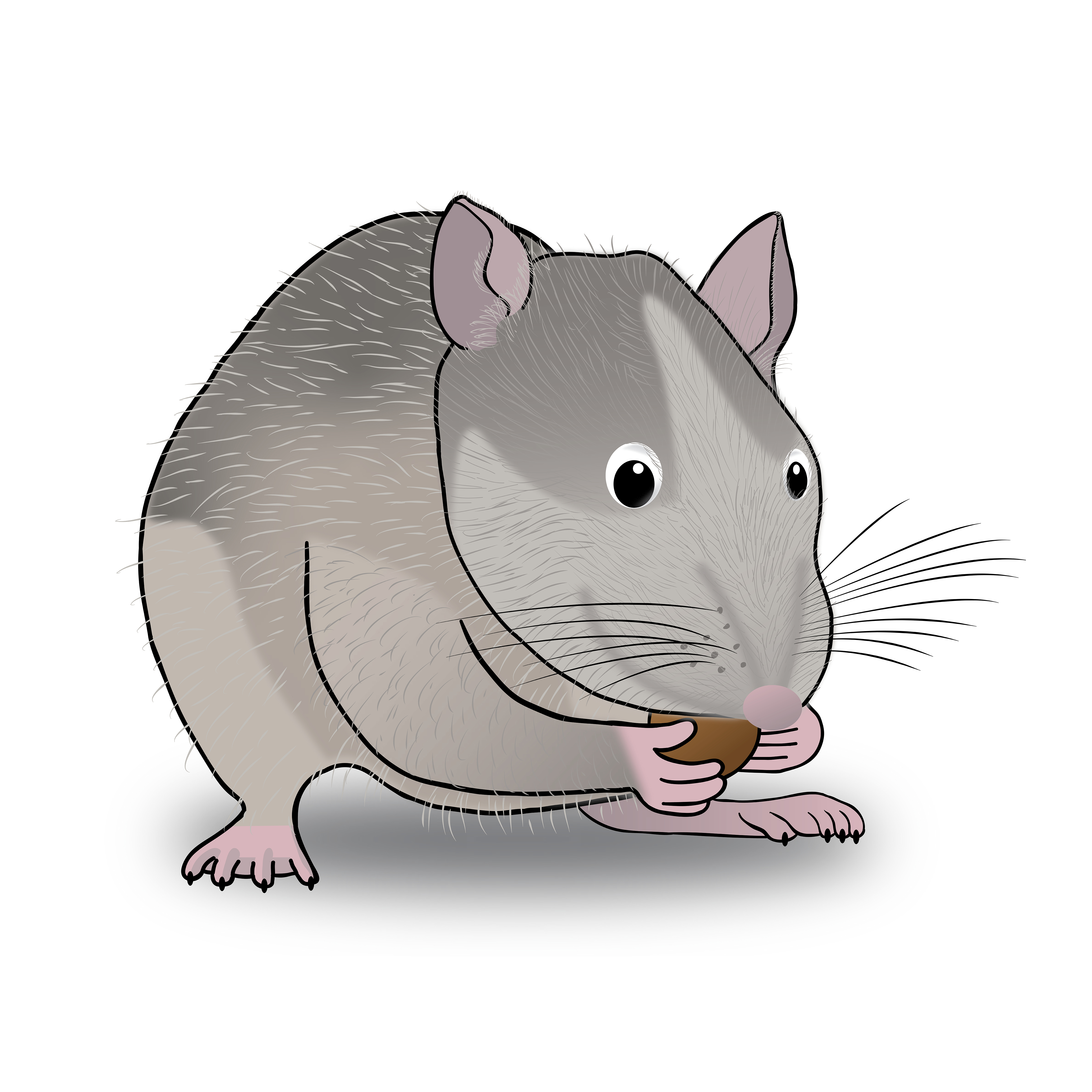 Illustration Design by Skybluedesignstudio for this project | Design #21664698