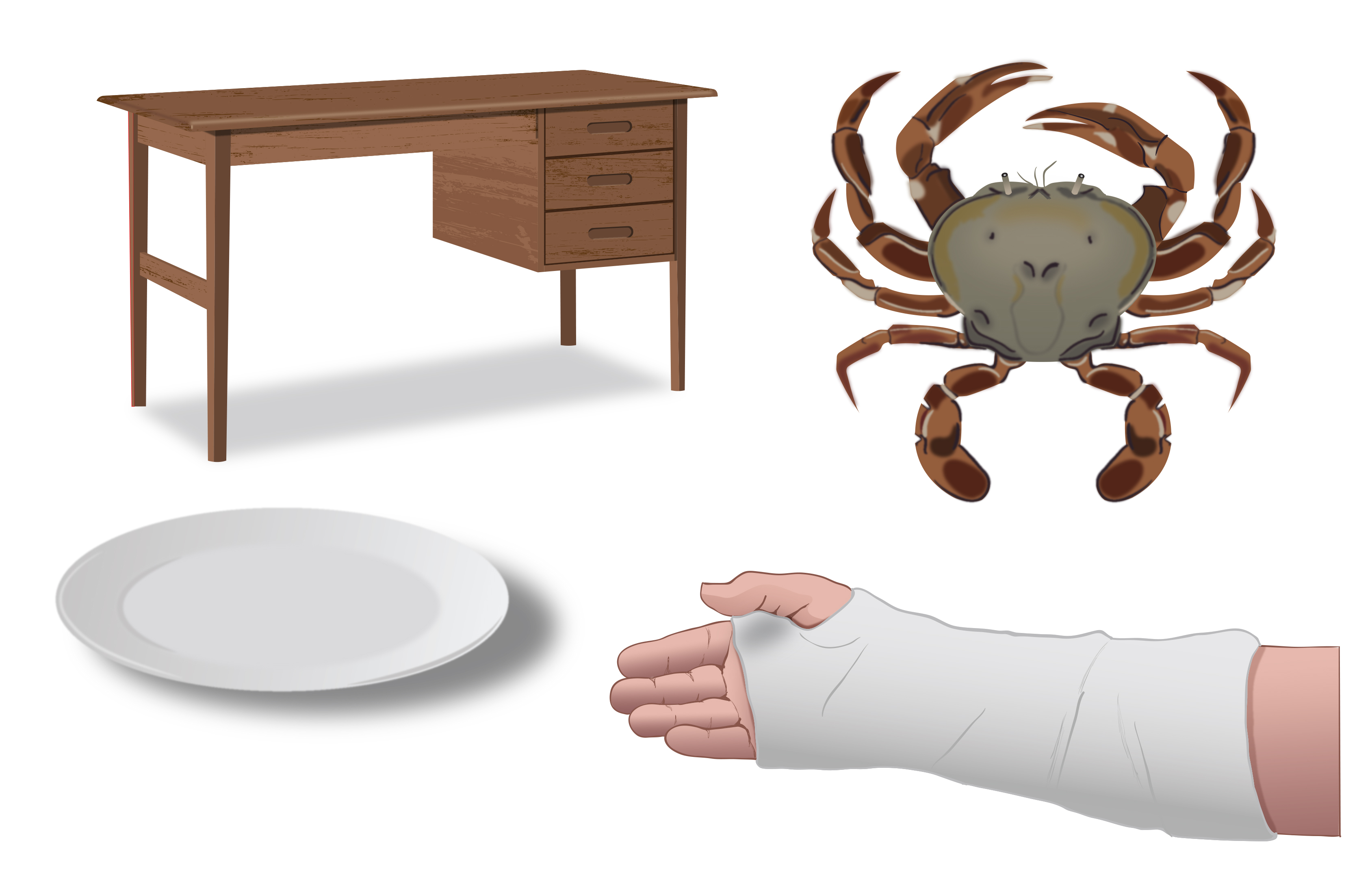 Illustration Design by Skybluedesignstudio for this project | Design #21755399