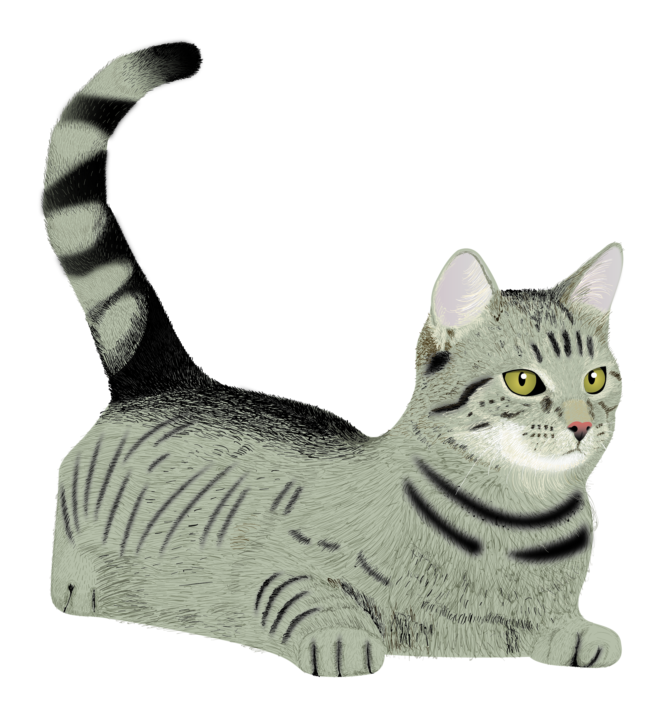 Illustration Design by Skybluedesignstudio for this project | Design #21932559