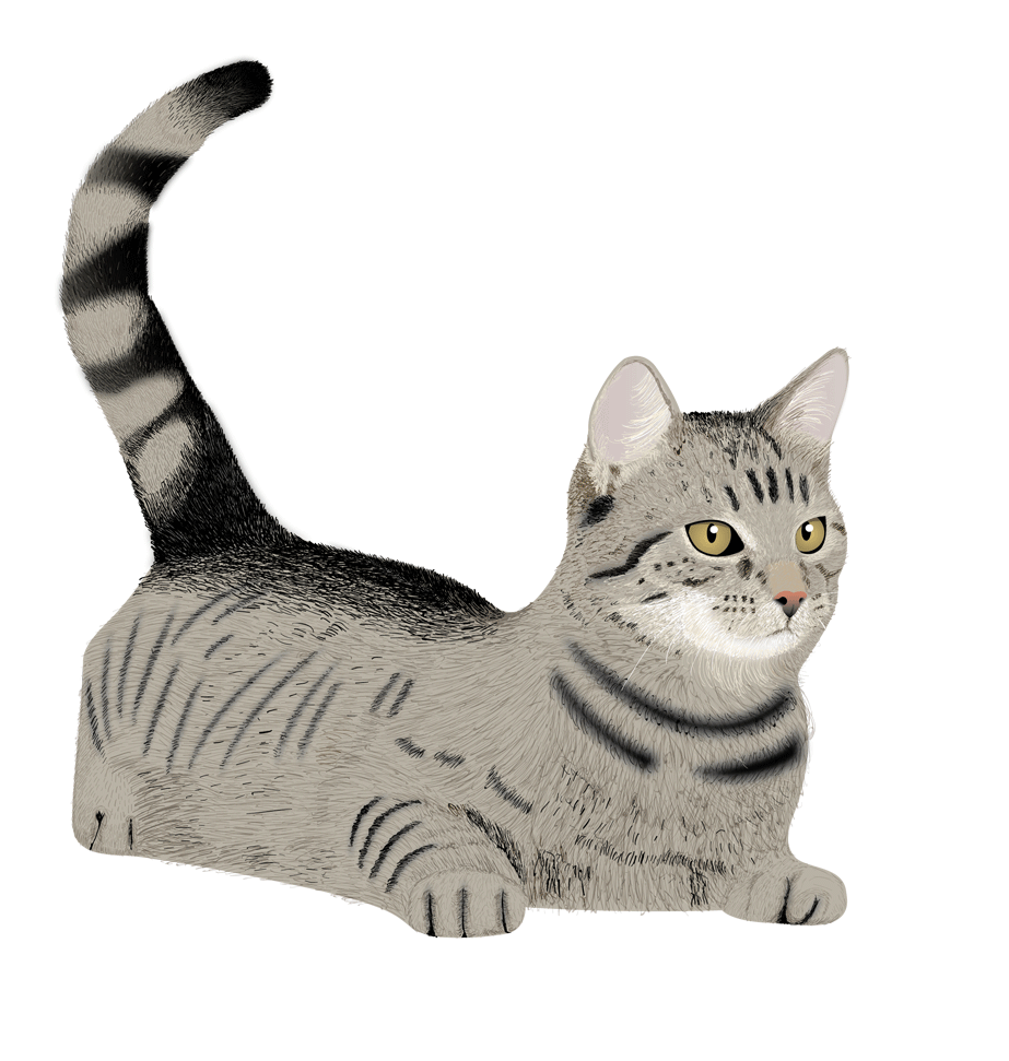 Illustration Design by Skybluedesignstudio for this project | Design #21932562