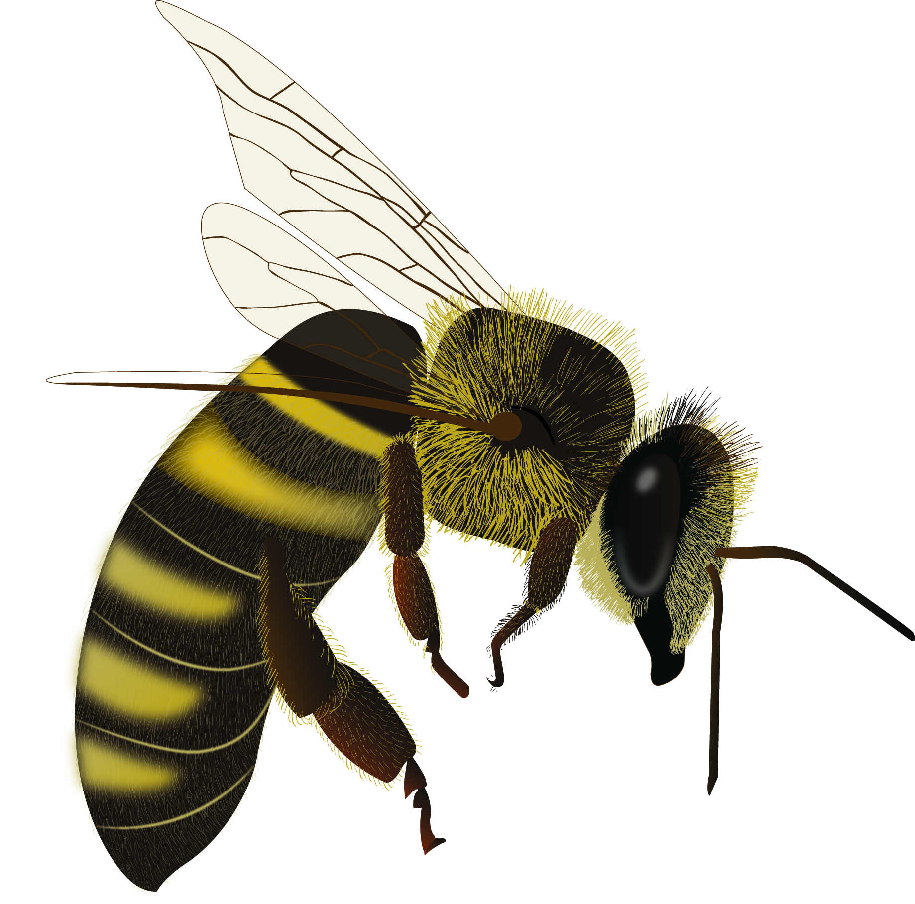 Illustration Design by Skybluedesignstudio for this project | Design #21932588