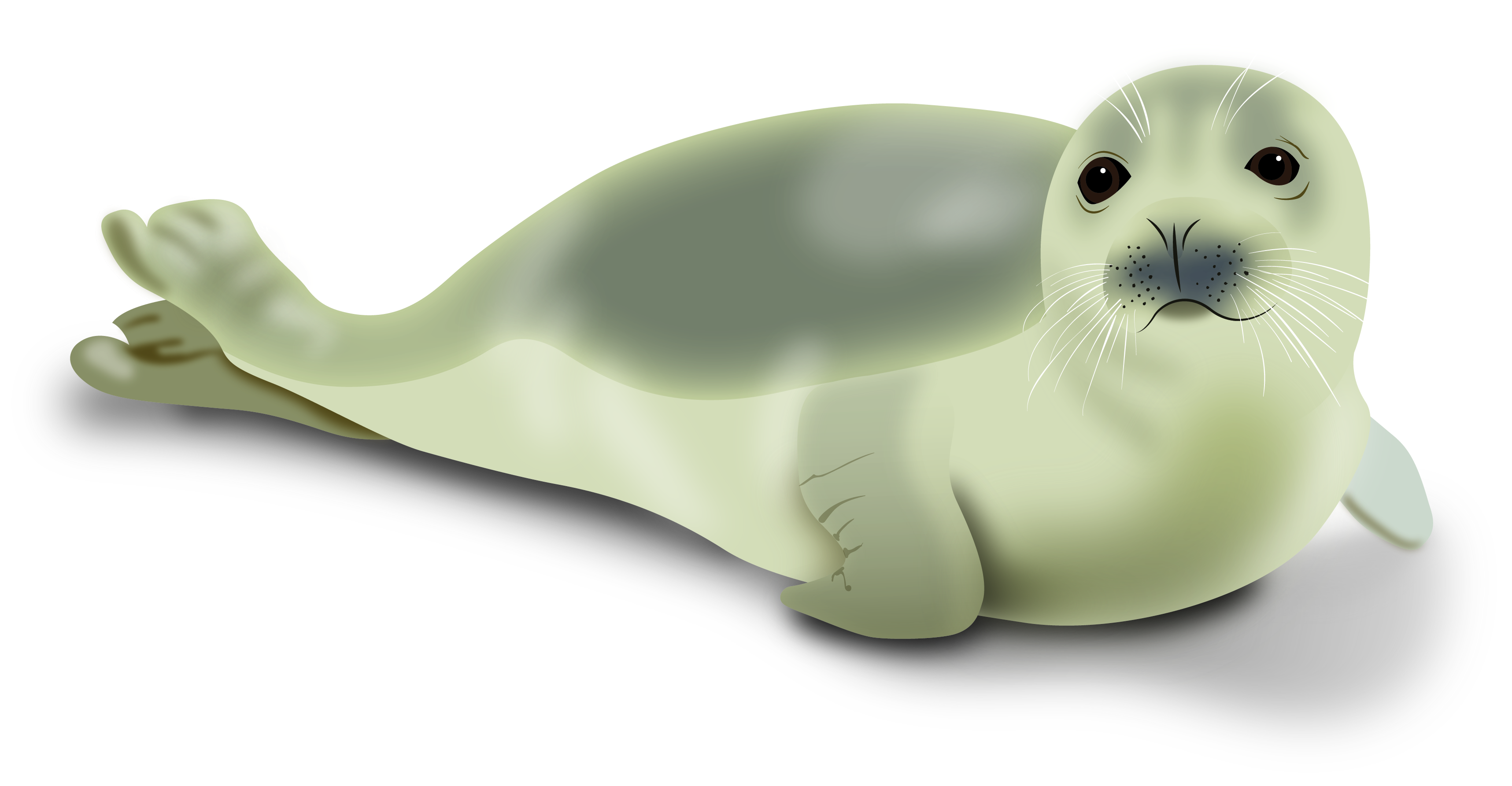 Illustration Design by Skybluedesignstudio for this project | Design #21938987