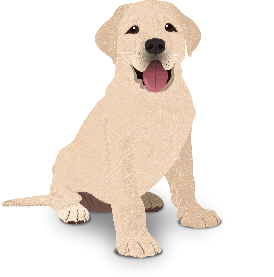 Illustration Design by Skybluedesignstudio for this project | Design #21990545