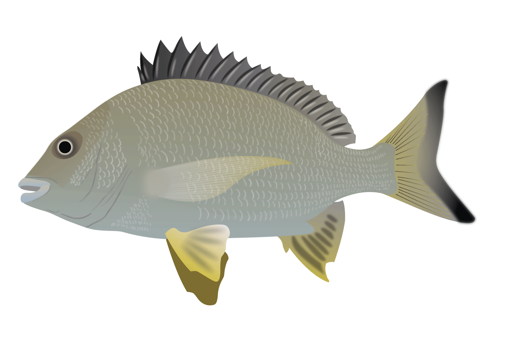 Illustration Design by Skybluedesignstudio for this project | Design #21997422