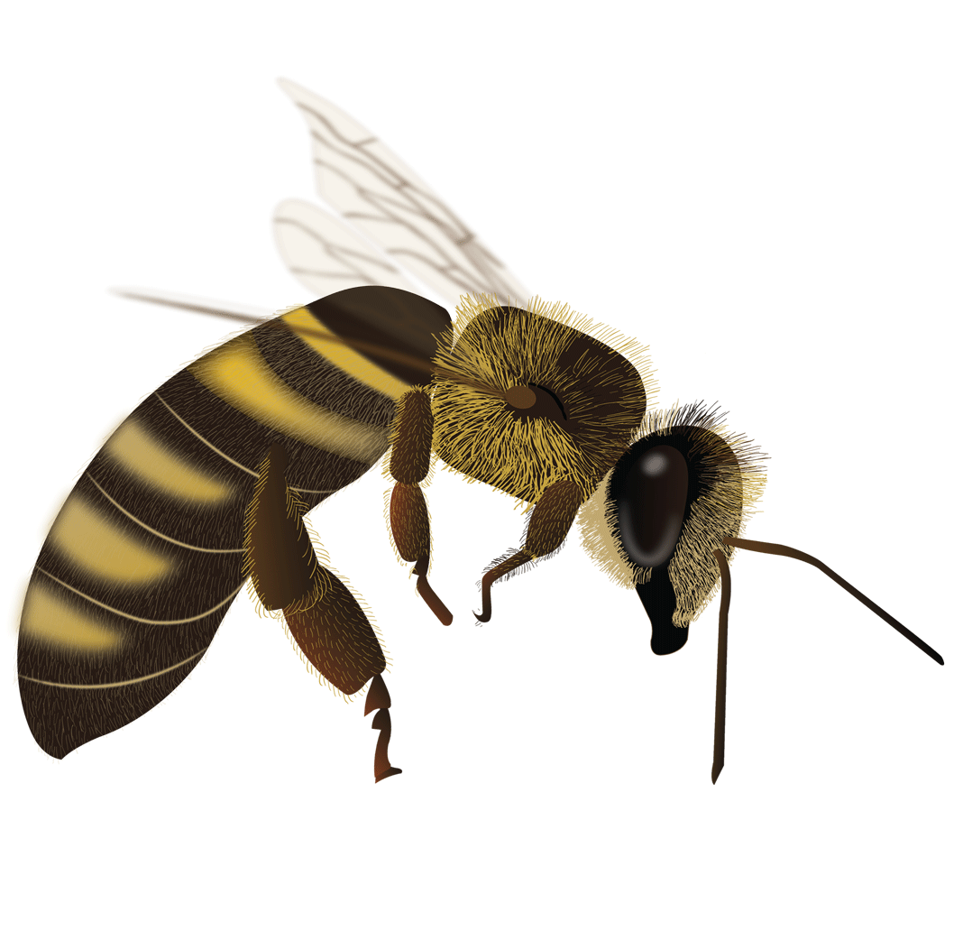 Illustration Design by Skybluedesignstudio for this project | Design #21997689