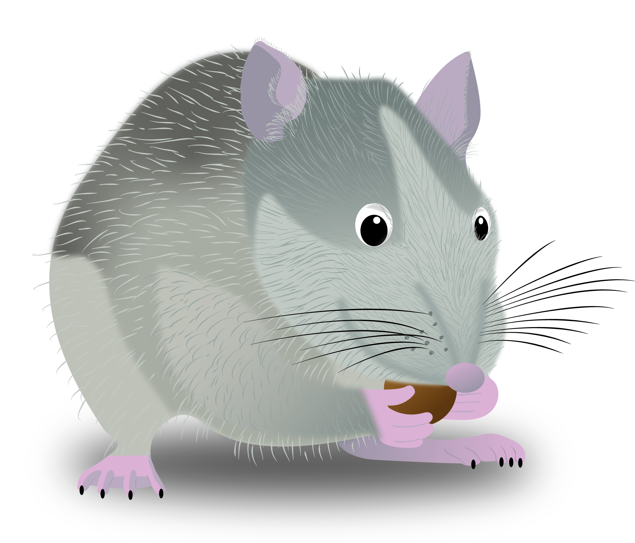 Design Illustration par Skybluedesignstudio pour ce projet | Design #22002928