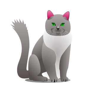 Illustration Design by Gabriel Nunes for this project | Design: #21692555