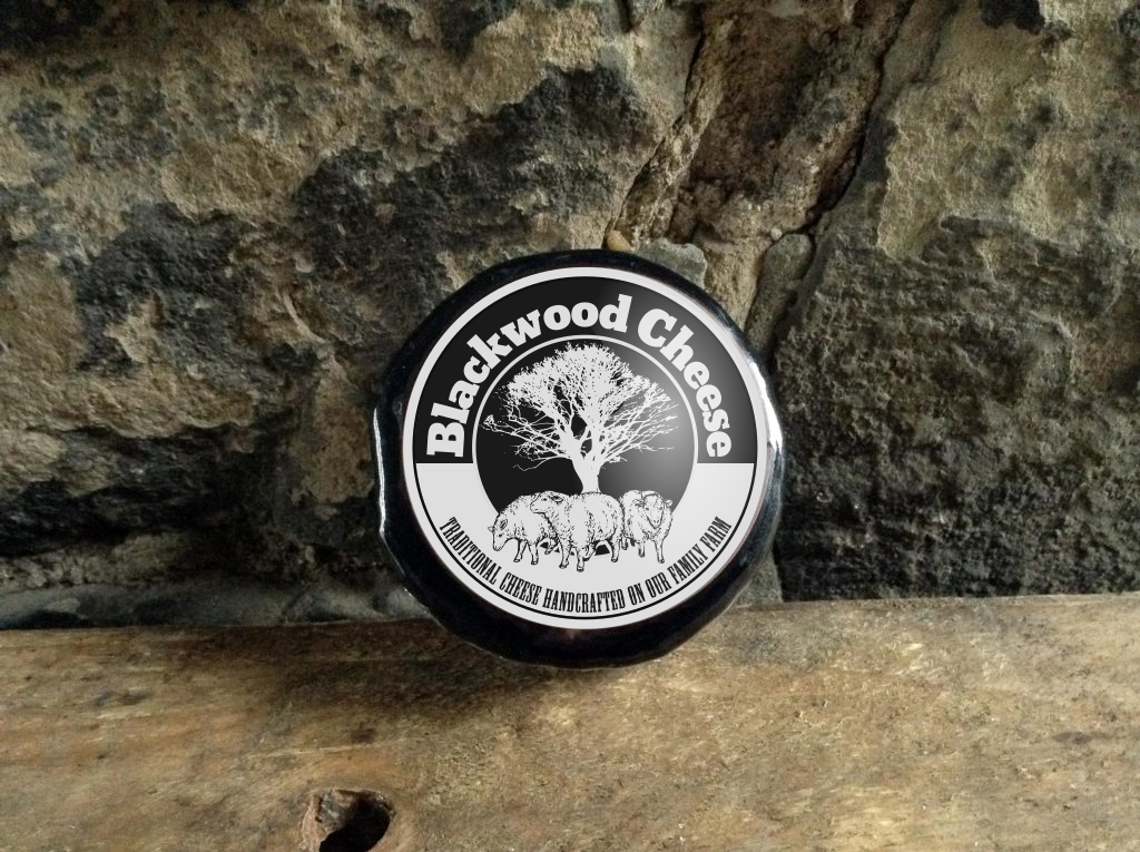 Logo Design by Giovanni for this project | Design #21615226