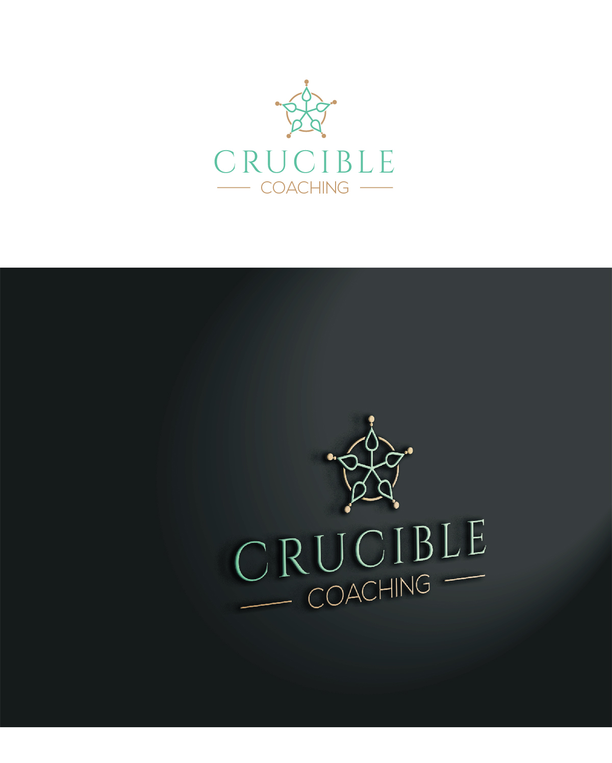 Logo Design by Maxo-Biz for Crucible Coaching | Design #21606921
