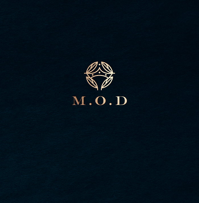Logo Design by Vetroff for this project | Design #21608548
