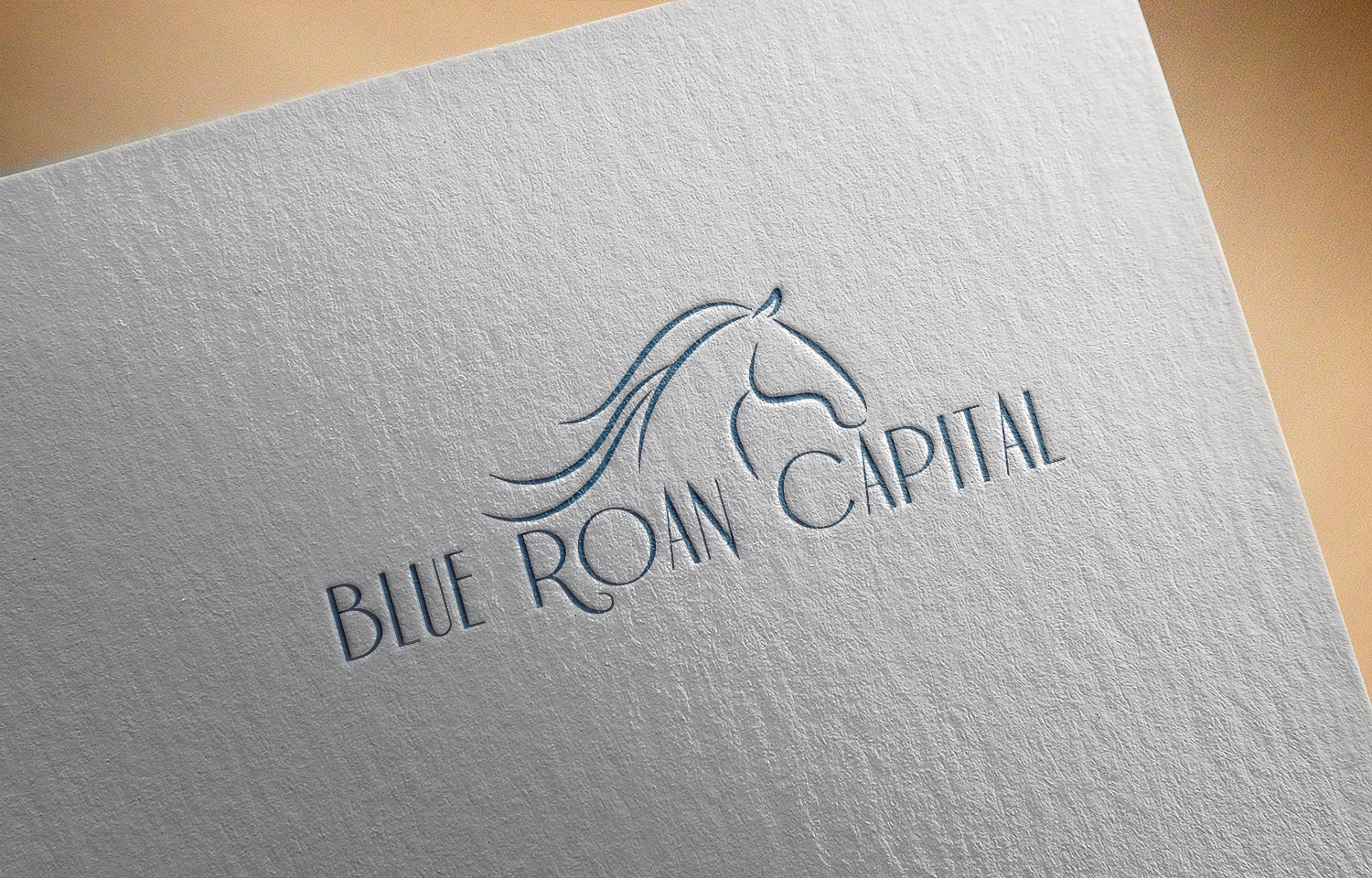 Logo Design by aliasadnaqvi for this project | Design #21615583