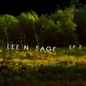 CD Cover Design by jimbo mo for this project | Design: #21630710