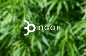 Logo-Design von GLDesigns für Halsa Botanicals | Design: #21615835