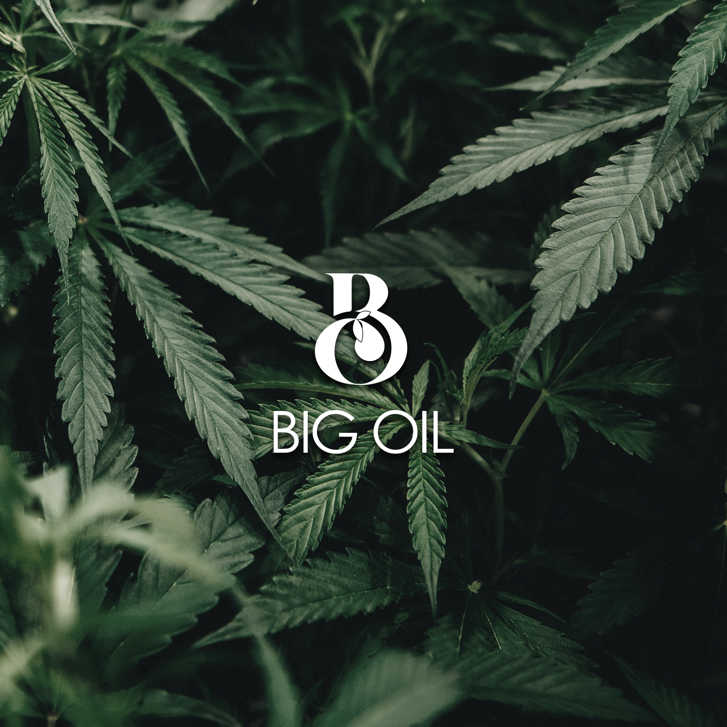 Logo Design by frank d. for Halsa Botanicals | Design #21620850