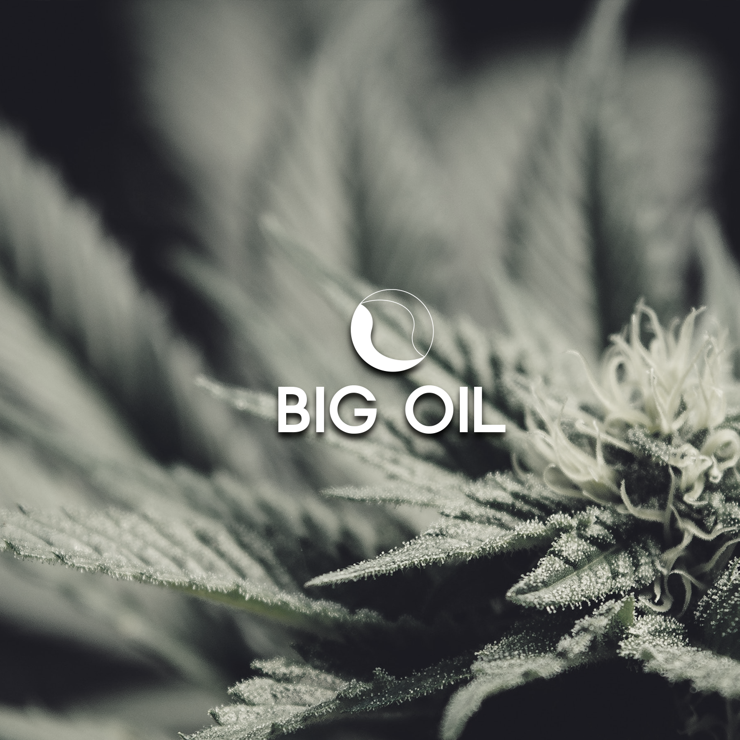 Logo Design by frank d. for Halsa Botanicals | Design #21620856