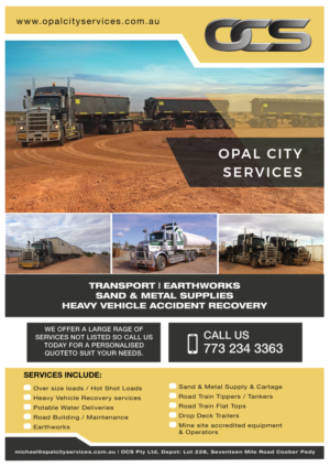 Flyer Design by Creativeadpro for this project | Design: #21635245