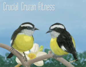 Illustration Design by Kevin Raw for Herbalife Nutrition | Design: #21642325