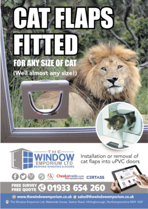 Flyer Designer for a Widow and Door Company - loooking for fresh design | Flyer Design by the artworks